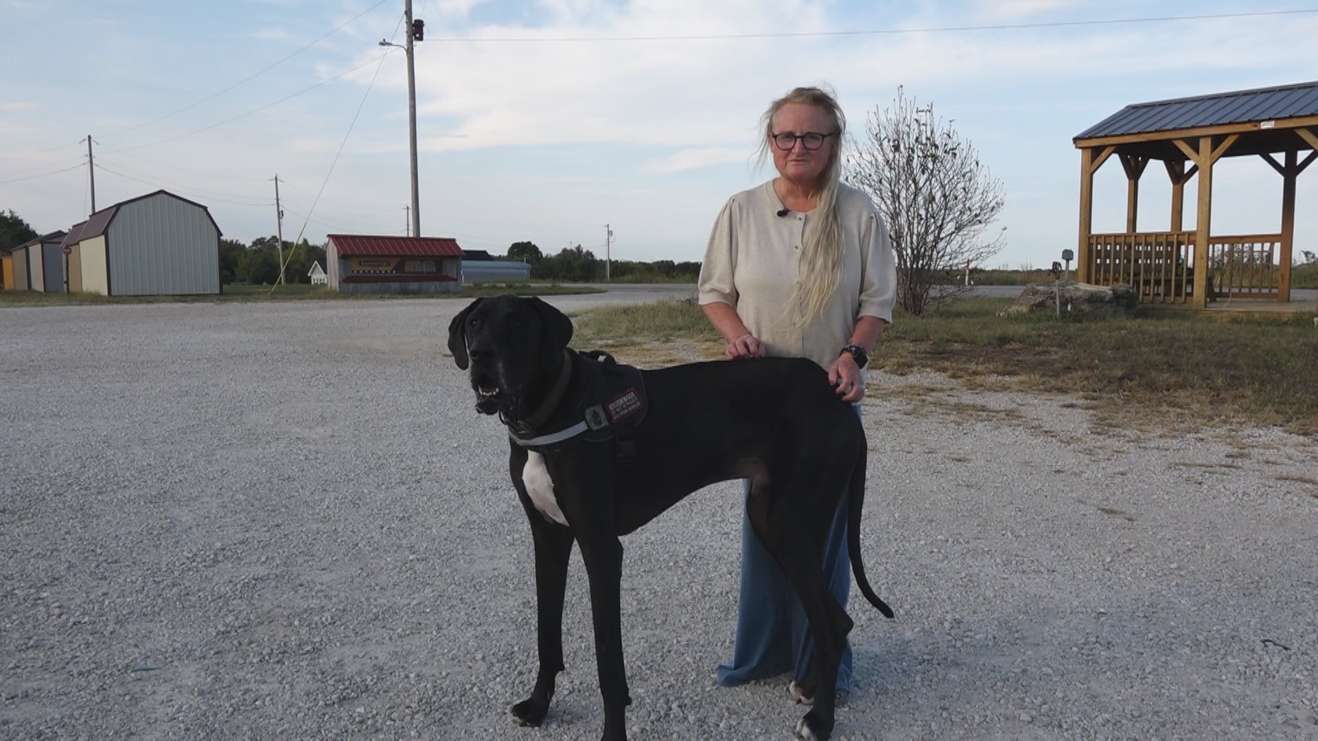 Service Dog Entry Dispute Highlights Business Confusion Over Public Accommodation Laws in Missouri