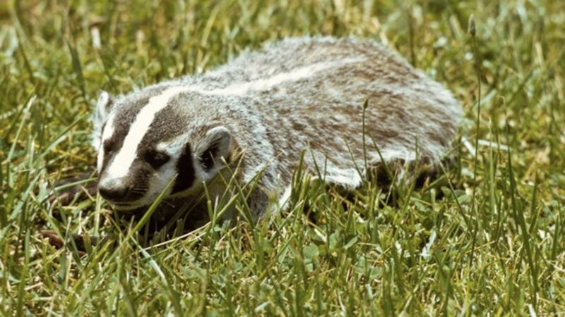 Courtesy: Missouri Dept. of Conservation