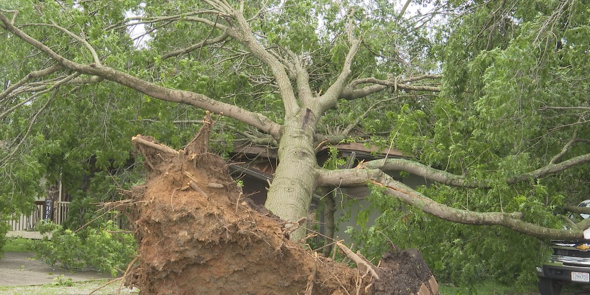 KY3 Digital Extra: Is the Ozarks’ wild weather year impacted by climate change?