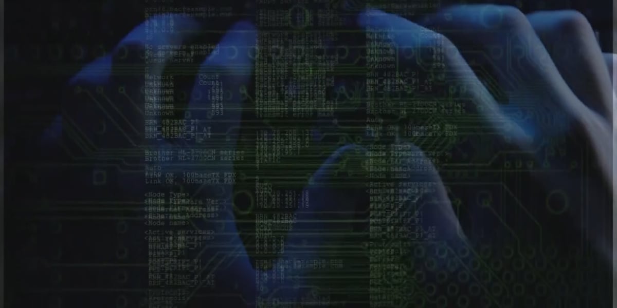 On Your Side Scam School: How to protect yourself from a data breach