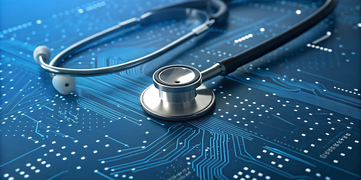 AI in healthcare: The utilization of technology by local hospitals and national initiatives AI in healthcare: The utilization of technology by local hospitals and national initiatives