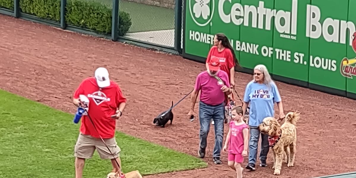 Springfield Park Fans PICTURES: Springfield Cardinals fans celebrate “Bark in the Park” night