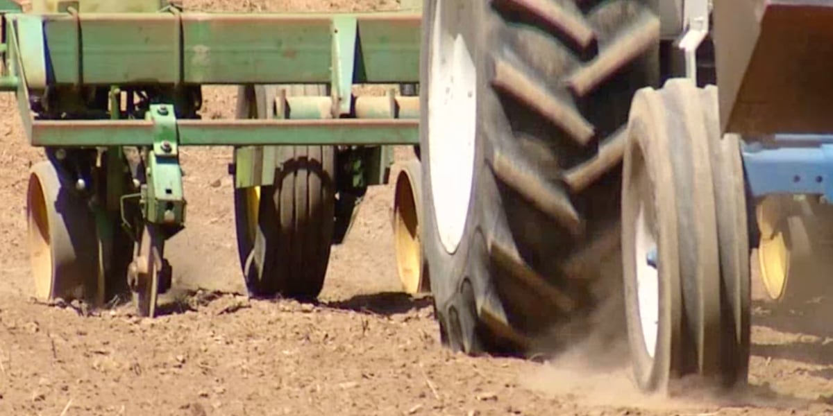 Missouri’s MO-BUCKS offering low-interest loans to farmers
