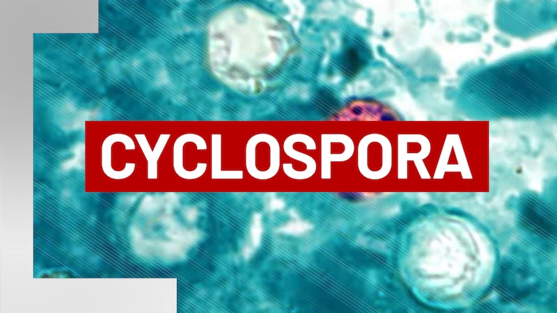 The number of cyclosporiasis cases in Arkansas continue to inch up.