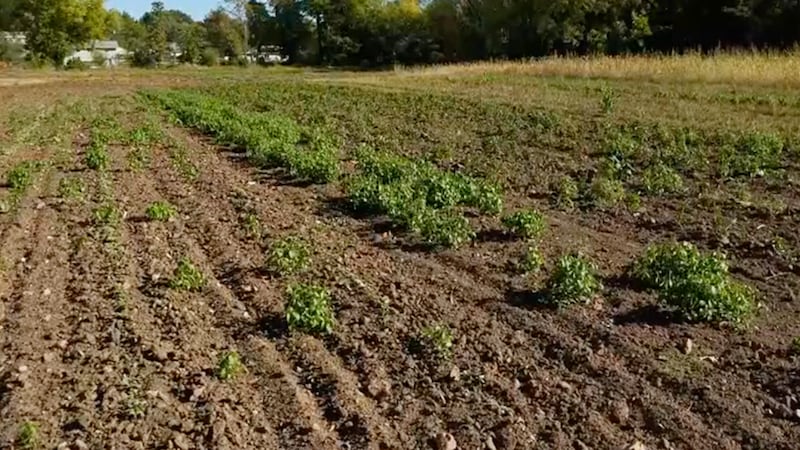 Fassnight Creek Farms’ Dan Bigbee begins looking ahead to the next growing season.