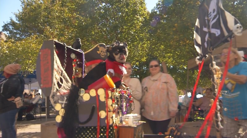The event runs from 11-4 on Springfield's downtown square