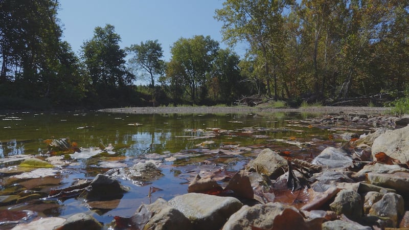 Gasconade River