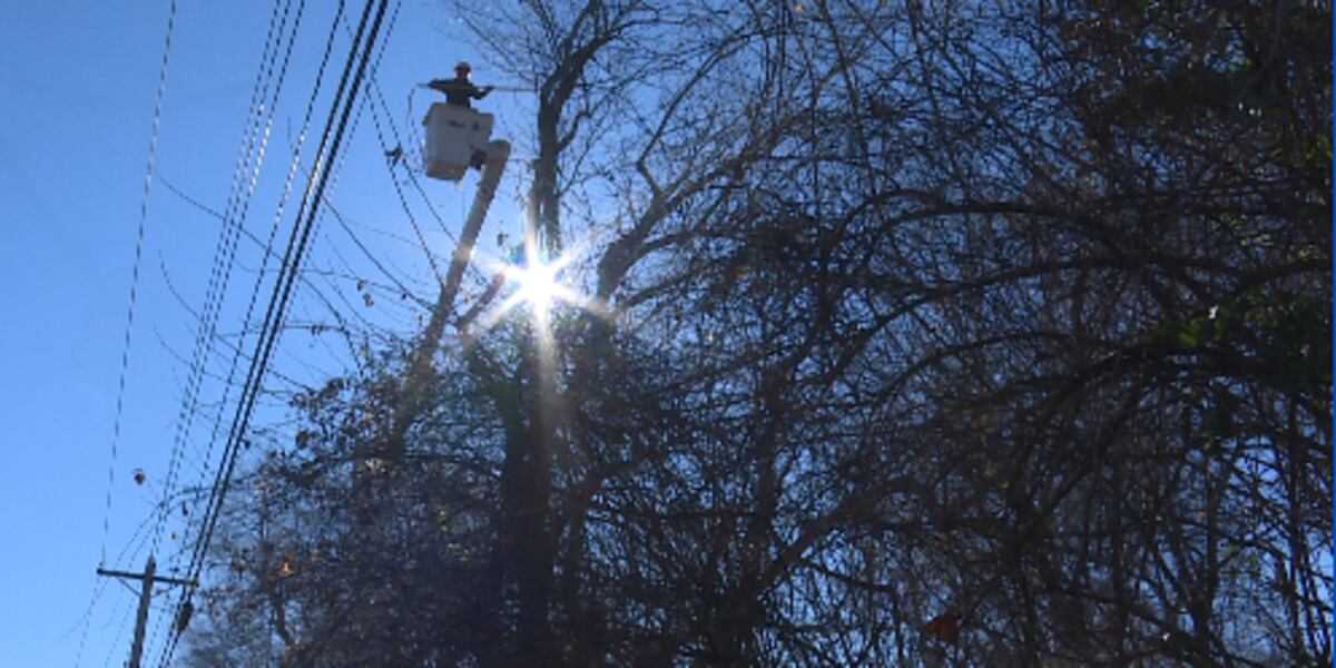 Springfield City Utilities Aggressive Tree Trimming Policy Is Lasting springfield-city-utilities-aggressive-tree-trimming-policy-is-lasting