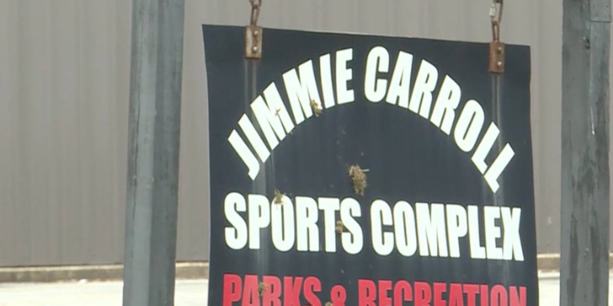 Coverage image for: West Plains Sales Tax Vote: Sports complex drives one-cent proposal