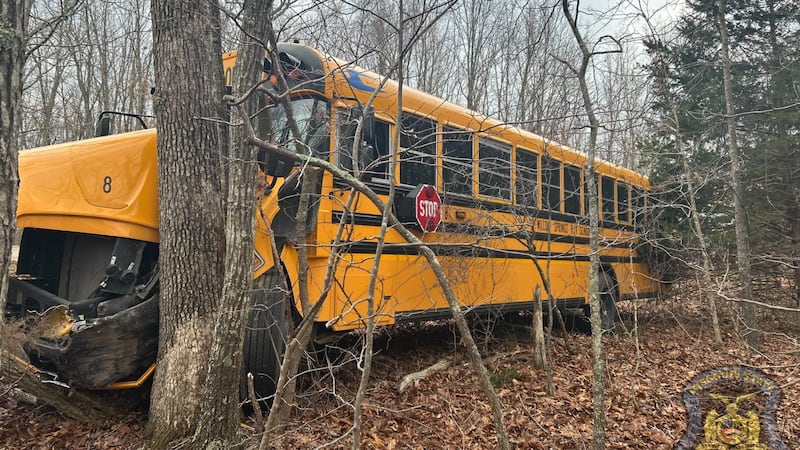 Willow Springs School District school bus crashes into tree
