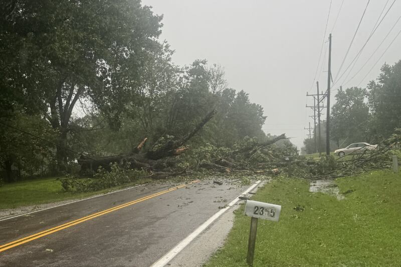 Woman dies in Sunday’s storms in Springfield after tree crushes vehicle