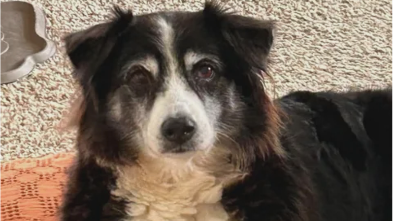 Gracie is 13 and has been missing from her Crane home for almost a month