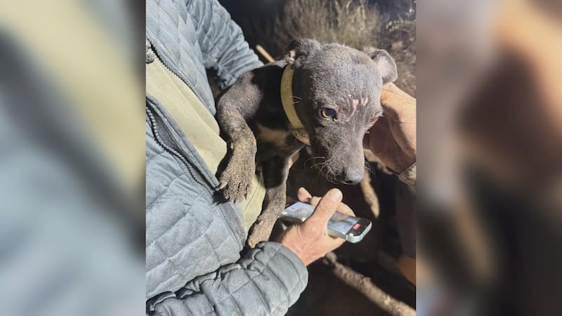 Courtesy: Doolittle Rural Fire Protection District