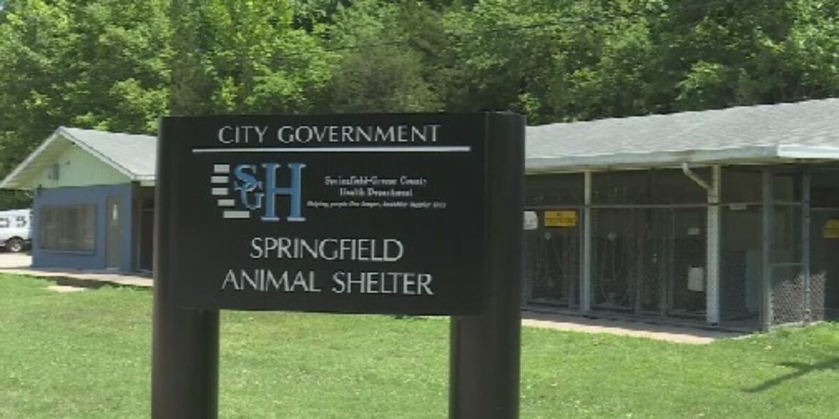 Springfield animal control now serving outside city limits again