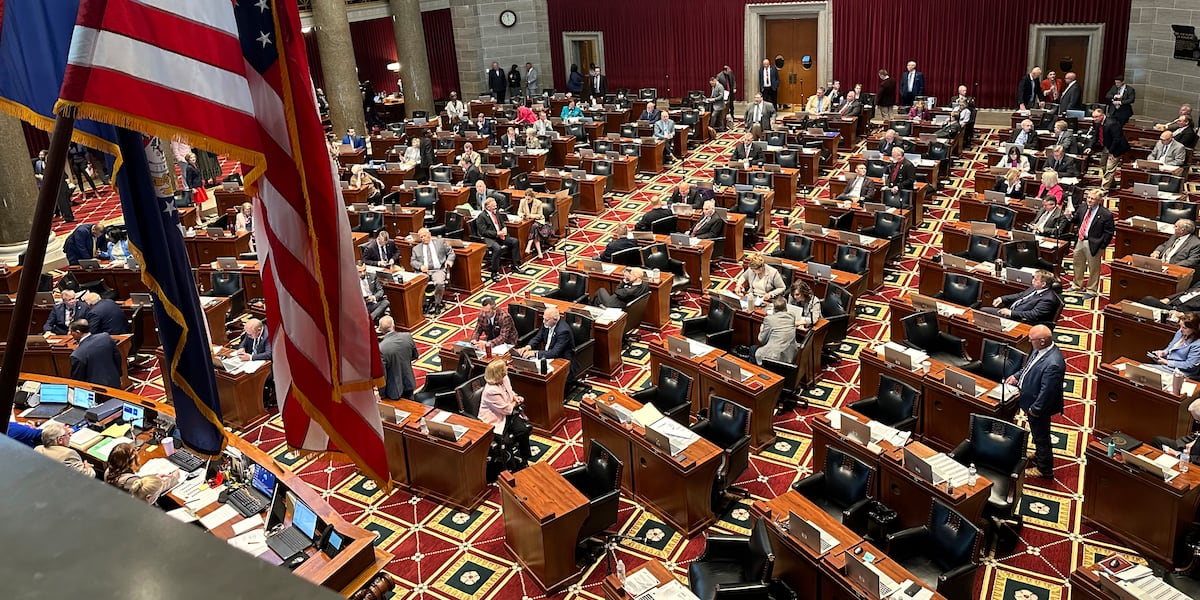 KY3 Digital Extra: Parents raise concerns over Missouri's Amendment 5 on the August ballot