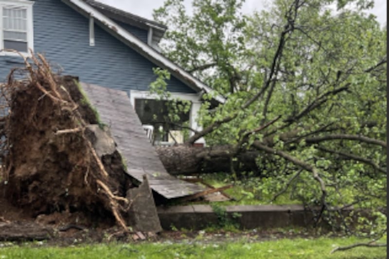 PICTURES: KY3 viewers share damage pictures from Tuesday's storms