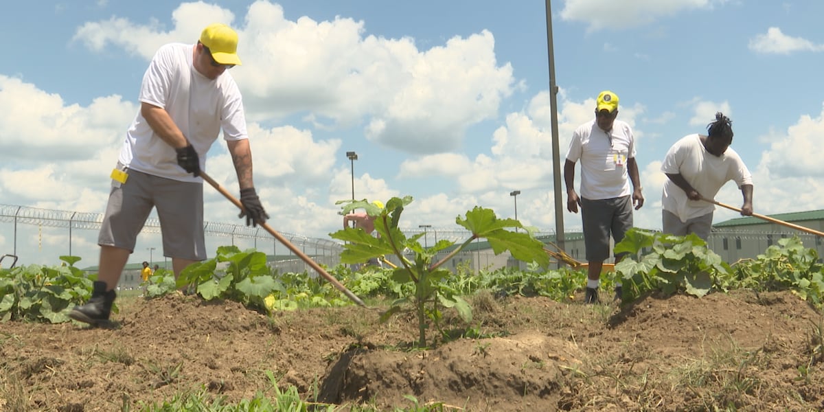 Prison inmates are growing and donating thousands of pounds of produce to a local food pantry