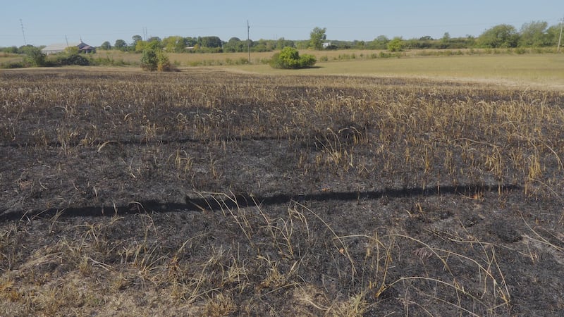 The burned field is along Carnation street near Prospect Street.