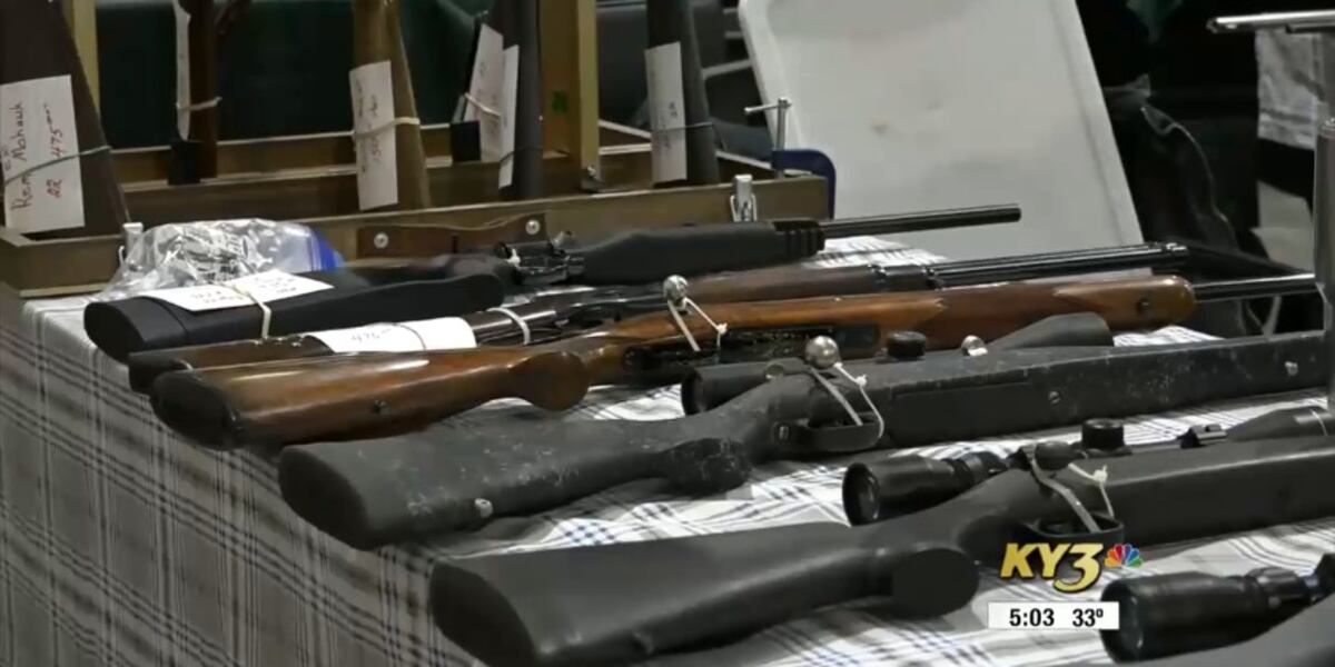 Rhk Gun Hundreds of people attend R.K. gun show