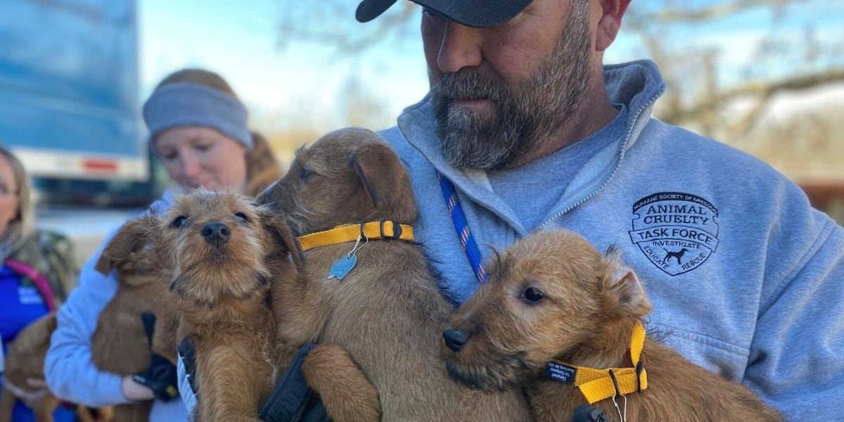 Missouri Rescue Missouri Humane Society rescues 42 dogs from breeder in Douglas County