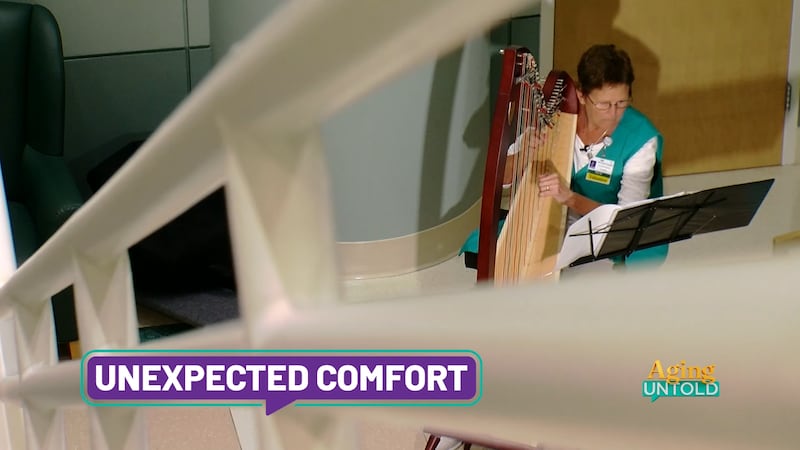 Peg Mann is a harpist providing tranquil music and a sense of calm at McLeod Seacoast Hospital...