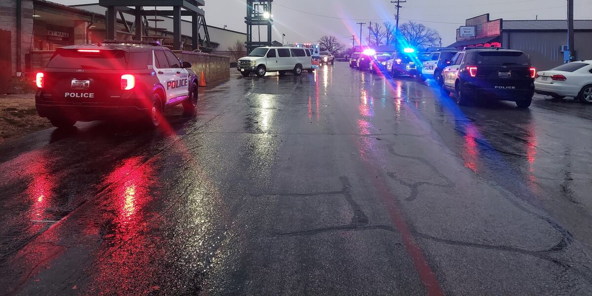 Two juveniles attempt to steal guns from a Springfield gun show