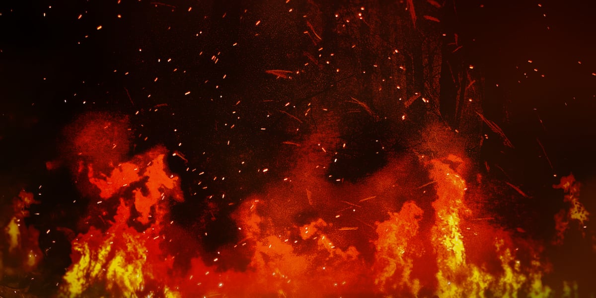 House fire north of Mountain View, Ark., kills two