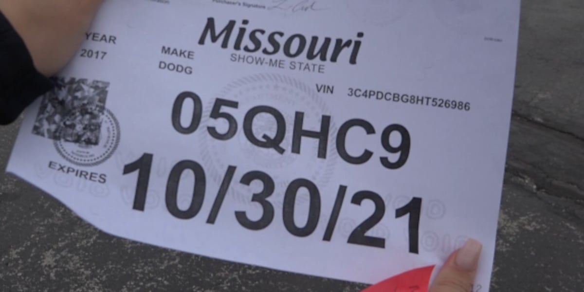 Drivers with expired or missing license plates and tags in Springfield ...