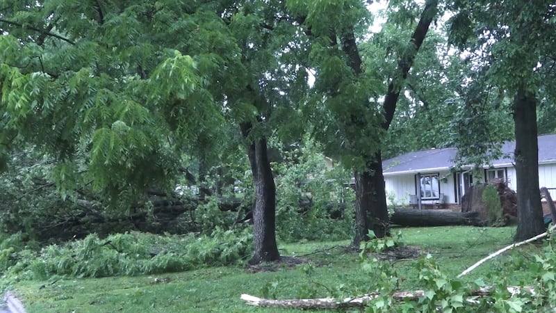 ‘The Springfield Three’: 33 years and counting since the disappearance ...