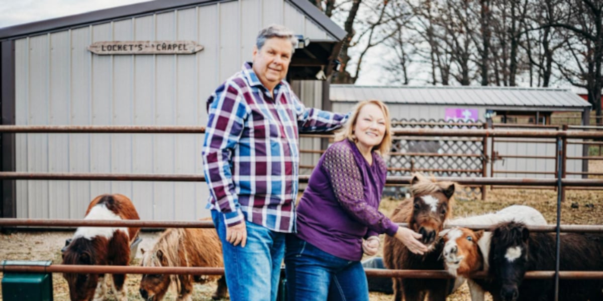 Osarks Ranch Leigh’s Lost and Found Digital Extra: Ozarks ranch rescues mini horses ...