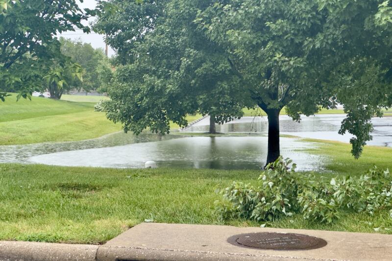 Woman dies in Sunday’s storms in Springfield after tree crushes vehicle
