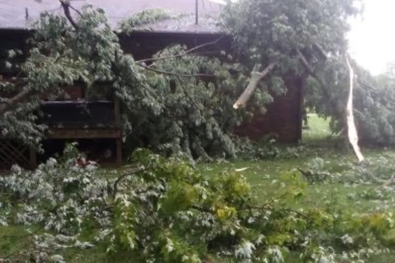 Woman dies in Sunday’s storms in Springfield after tree crushes vehicle