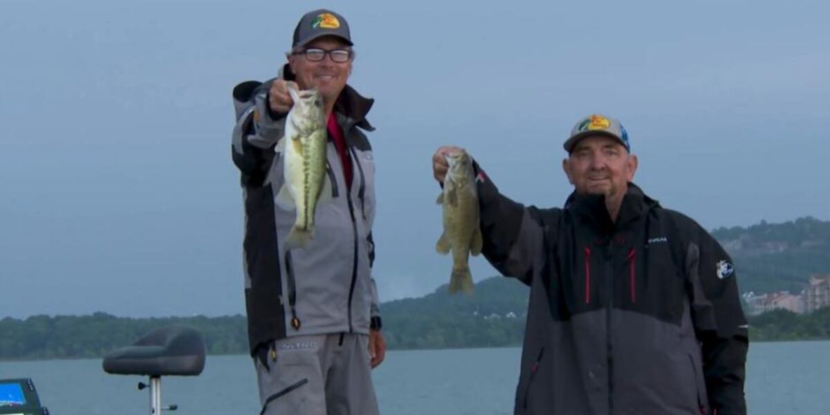 Experience the Thrill of Top Water Fishing with Bass Pro Tips