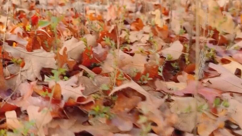 On Your Side's Ashley Reynolds and Arvest Bank's Mitch Wilkins go over the home checklist for...