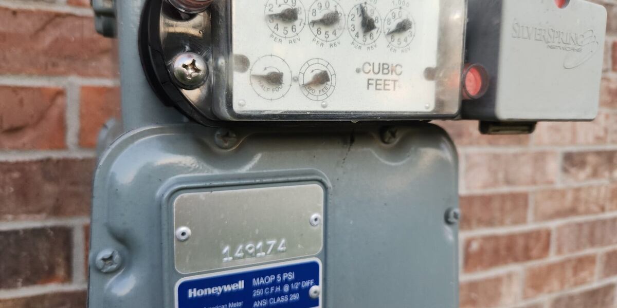 Factcheck Meter Fact Finders: Smart meter costs and benefits