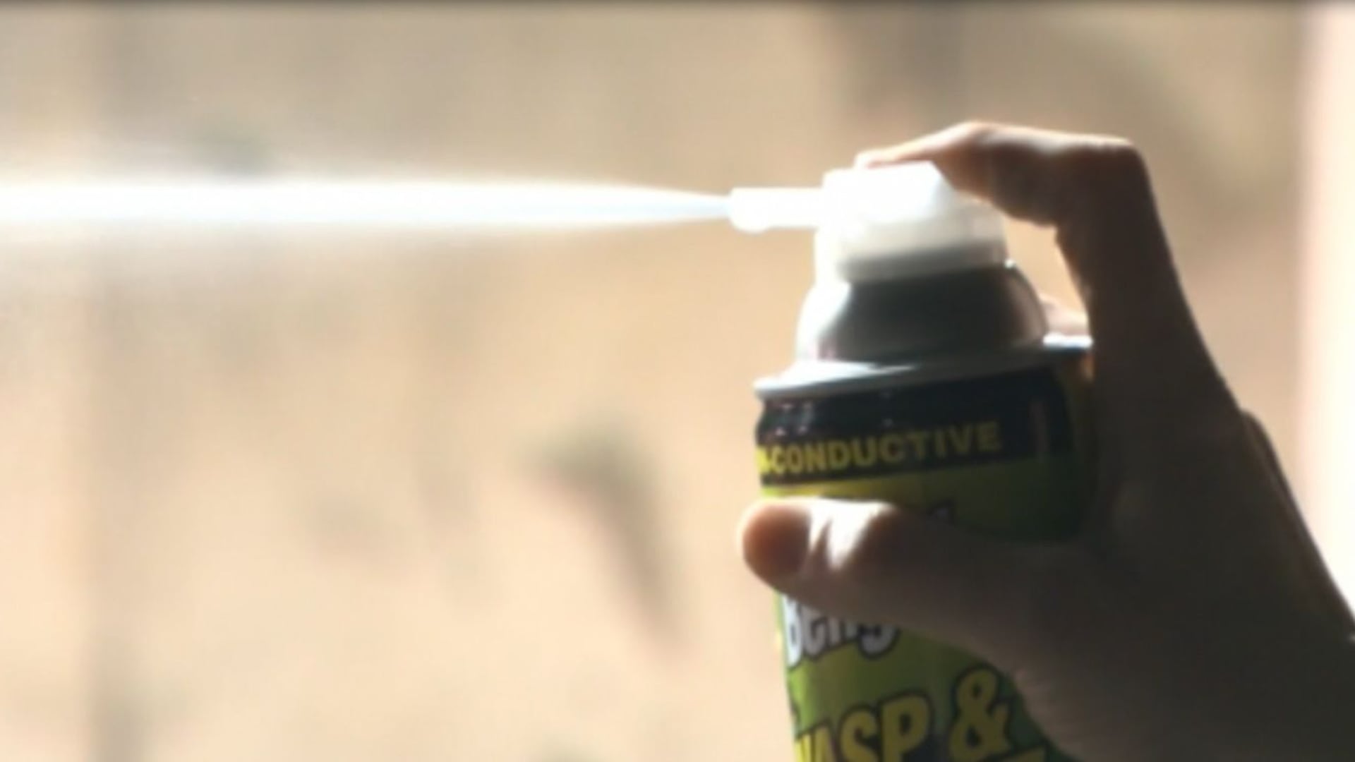 Fact Finders: Can you be sued for using wasp spray on someone?